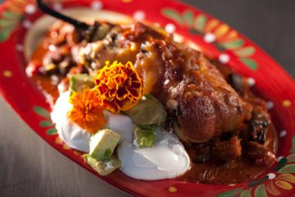 Duck in - Pig out Poblanos